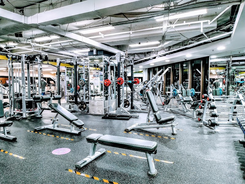 Anytime Fitness Circular Quay