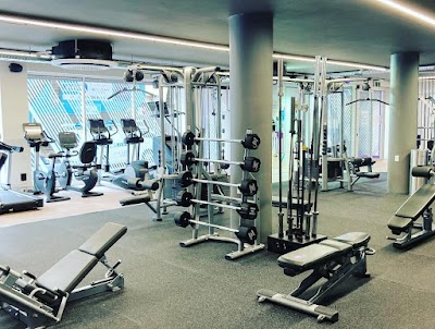 Anytime Fitness Surry Hills