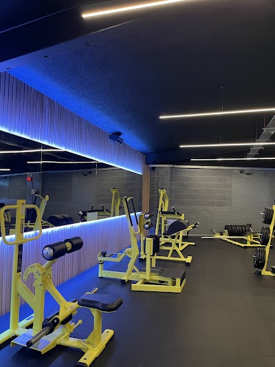 Elite Fitness Factory