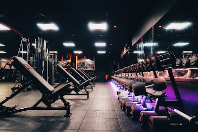 Evolution Fitness Leicester