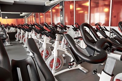 New York Sports Club