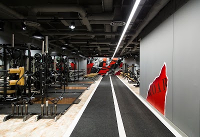 Roar Fitness London City